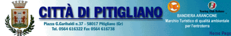 COMUNE PITIGLIANO.gif (16989 byte)